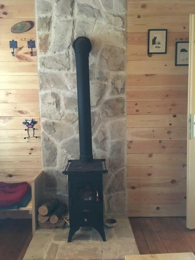 Cozy Cabin Žabljak Exteriér fotografie
