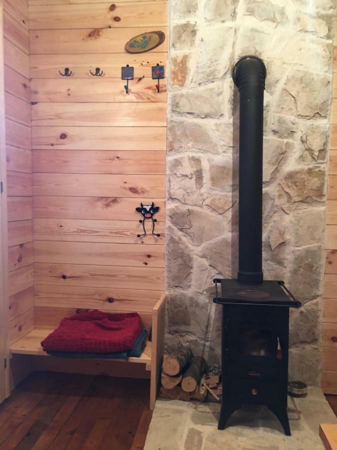 Cozy Cabin Žabljak Exteriér fotografie
